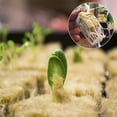 thumbnail image 4 of Flower Soilless Culture Substrate Hydroponic Wool Block Grodan Rockwool Cubes, 4 of 9