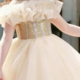 thumbnail image 3 of FRSASU Girls Flower Princess Dress Pageant Lace Embroidery Floral Tulle Dress Sleeveless Wedding Party Prom Evening Maxi Dress Beige, 3 of 6