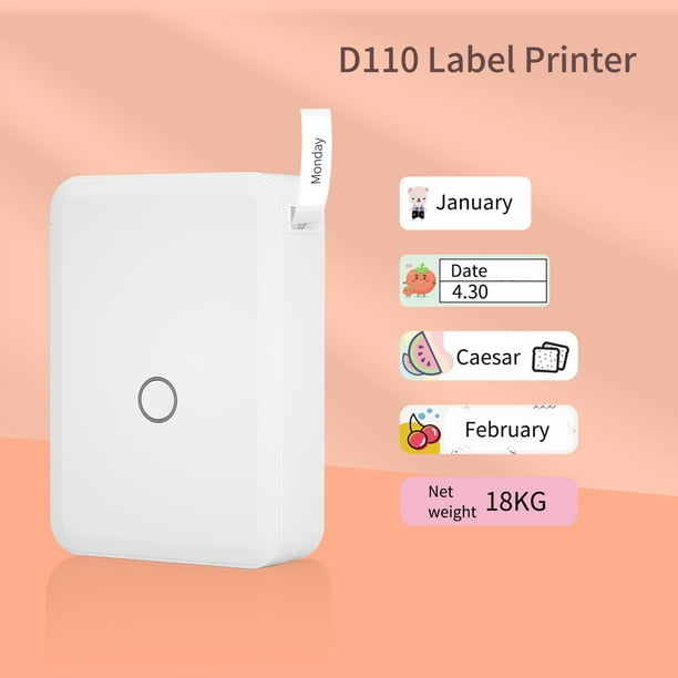 NIIMBOT D110 Étiqueteuse Mini Imprimante d'Étiquettes Thermique de