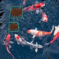 thumbnail image 5 of Unique Bargains Fish Feeding Ring, Floating Plant Corral Fish Tank Plant Corral Set for Aquarium Accessories 5pcs Green, 5 of 6