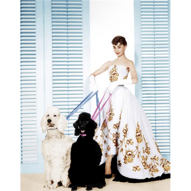 Collection Everett EVCM8DSABREC003HLARGE Sabrina Audrey Hepburn Portant une Robe Givenchy Impression Photo 1954, 16 x 20 - Grand
