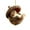 F, variant on CoreLiving Forest Animal Acorn Ornaments, Acorn Dreams Christmas Tree Ornaments Set, Cozy Rustic Woodland Animal Decor for Holiday Home Gifting, Cute 2D Flat Acrylic Pine Cone Decorations