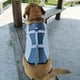 thumbnail image 5 of Chaleco salvavidas para perros Chaleco de traje de baño de tiburón para mascotas Ropa de se Tomshoo  Gris,XS, 5 of 7
