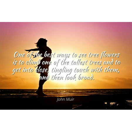 John Muir - One of the best ways to see tree flowers is to climb one of the tallest trees and to get into close, tingling touch with them, and then look b - Famous Quotes Laminated POSTER PRINT (Best Tree Climbing Boots)