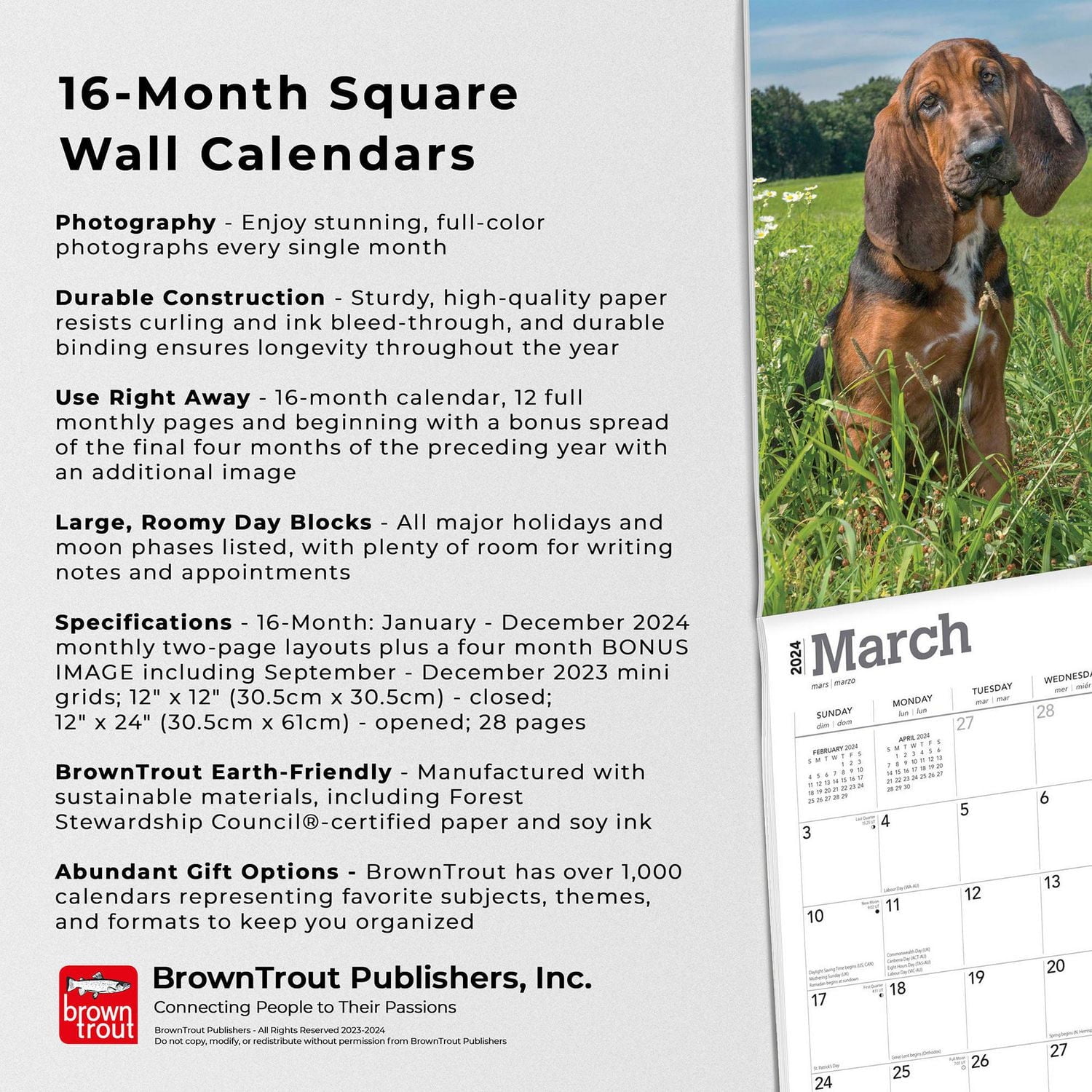 BrownTrout Bloodhounds 2024 12x24 Inch Square Wall Calendar, 9781975470678