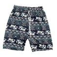 thumbnail image 4 of Pantalones cortos de playa Hombres Mujeres Pantalones cortos hippie Poliéster Cintura elástica Calzoncillos de moda Troncos de playa Patrón de Verde SM SunniMix Pantalones de playa, 4 of 8