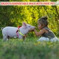 thumbnail image 4 of 2 Pieces Adjustable Mini Pig Harness Leash Mini Pig Walking Harness and Leash for Hog Piggy Ferret Rabbit Dog Cat and Other Small Animals Walking Training Jogging, 4 of 6