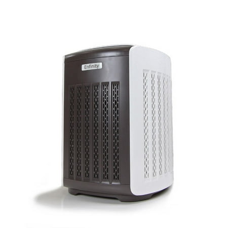 Purifier for dust