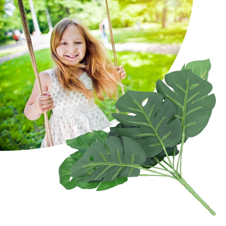 philodendron brazil Philodendron Cordatum Brasil
