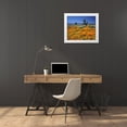 thumbnail image 3 of Talbot Frank, Christopher 14x12 White Modern Wood Framed Museum Art Print Titled - CA, California Poppies and the Joshua Trees, 3 of 4
