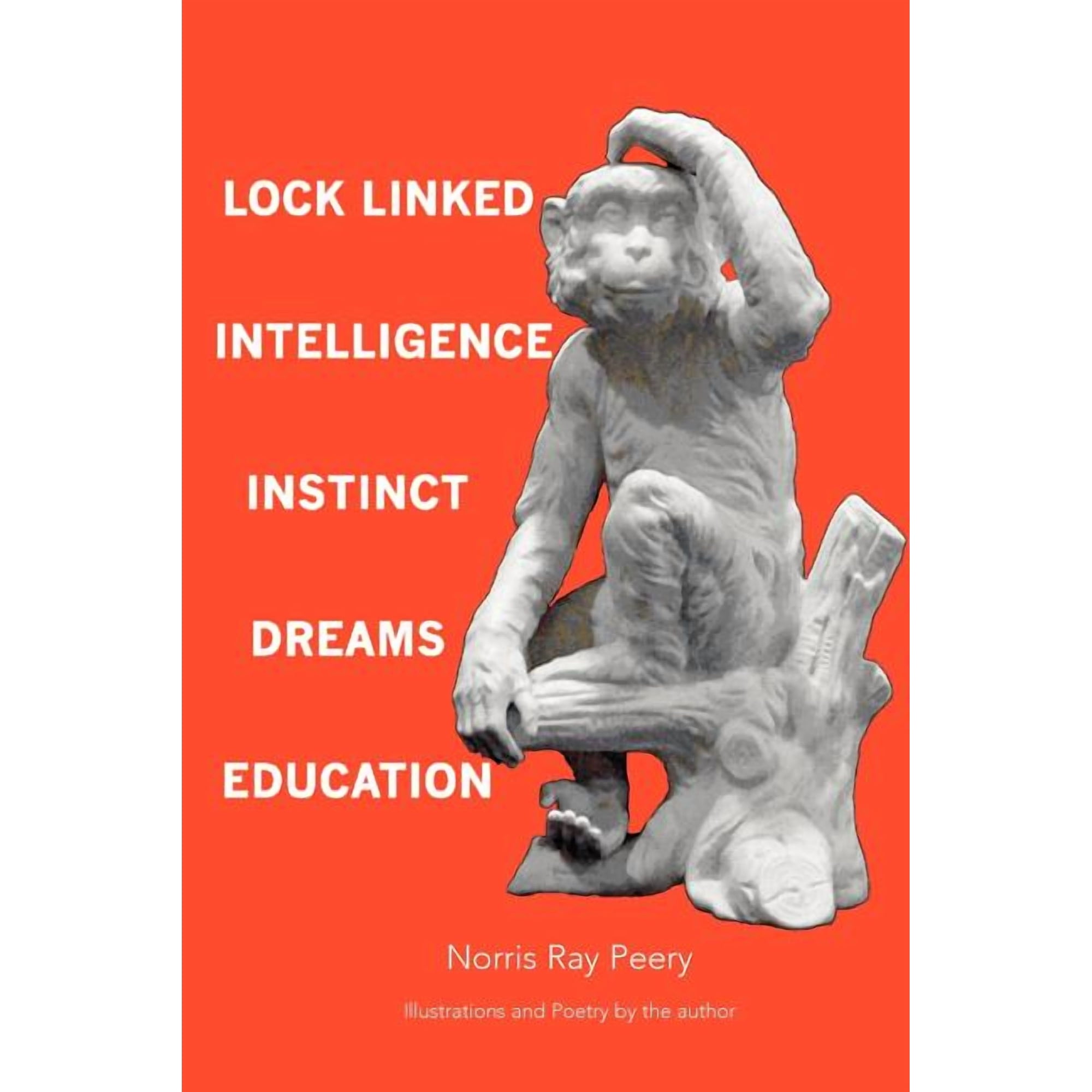 Lock Linked Intelligence-Instinct-Dreams-Education (Paperback)