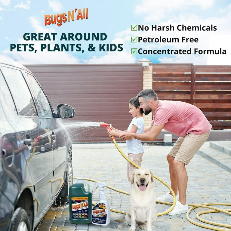 7 Best Bug and Tar Removers For Cars