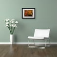 thumbnail image 2 of Trademark Fine Art "Brilliant Autumn Forest" Canvas Art by Kurt Shaffer, Black Frame, 2 of 3