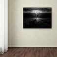 thumbnail image 3 of Trademark Fine Art 'Underwaterlandream' Canvas Art by Peter Majkut, 3 of 3