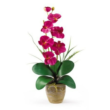 Beauty Stems - GHP 21