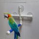 thumbnail image 1 of Bird Perches, Parrot Perch Shower Perch Parrot Shower Bird Perches Parrot Budgie Suction Cup Foldable Window Shower Bath Wall Paw Grinding Stand Toy W, 1 of 5