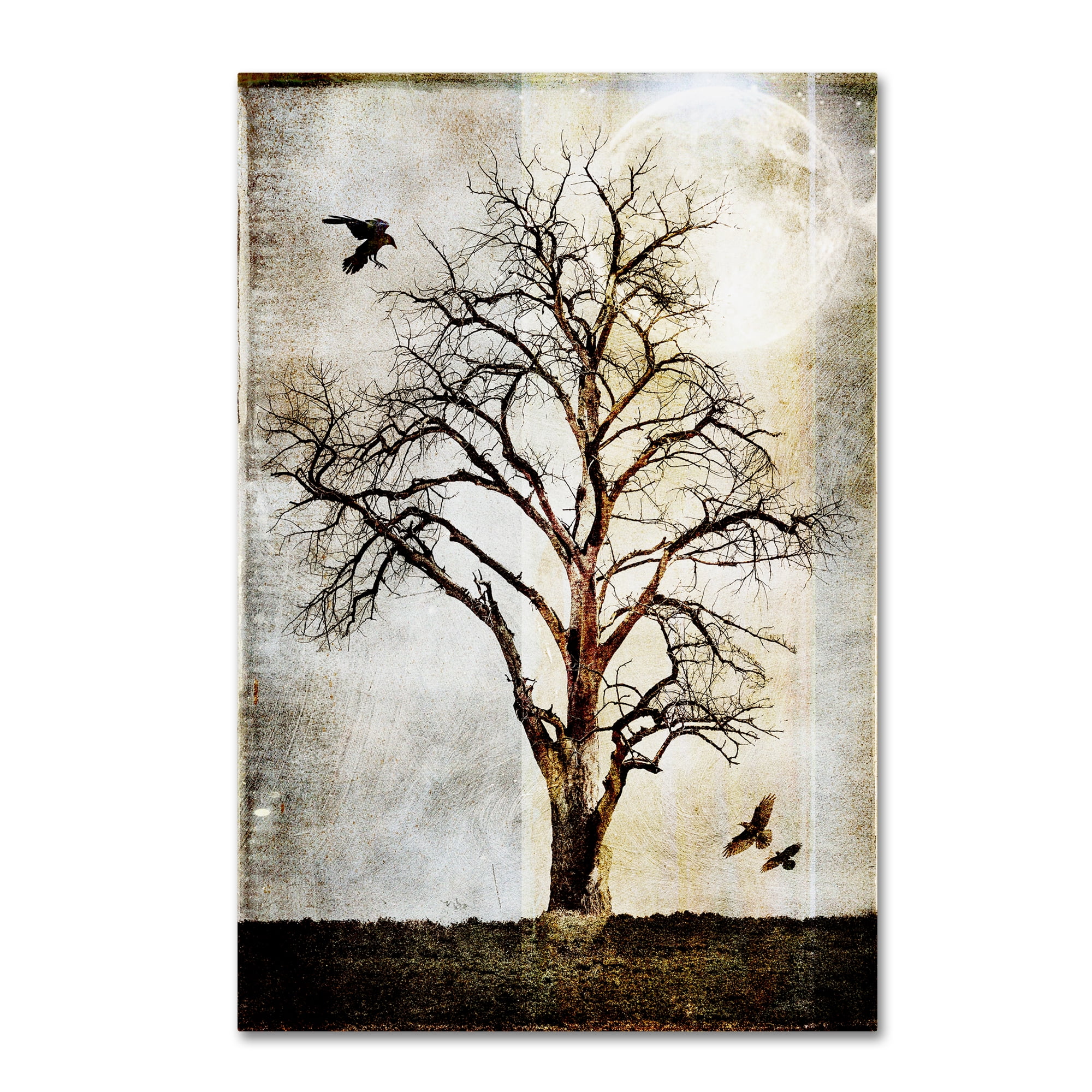 Trademark Fine Art 'Cottonwood Tree Part 02' Canvas Art by