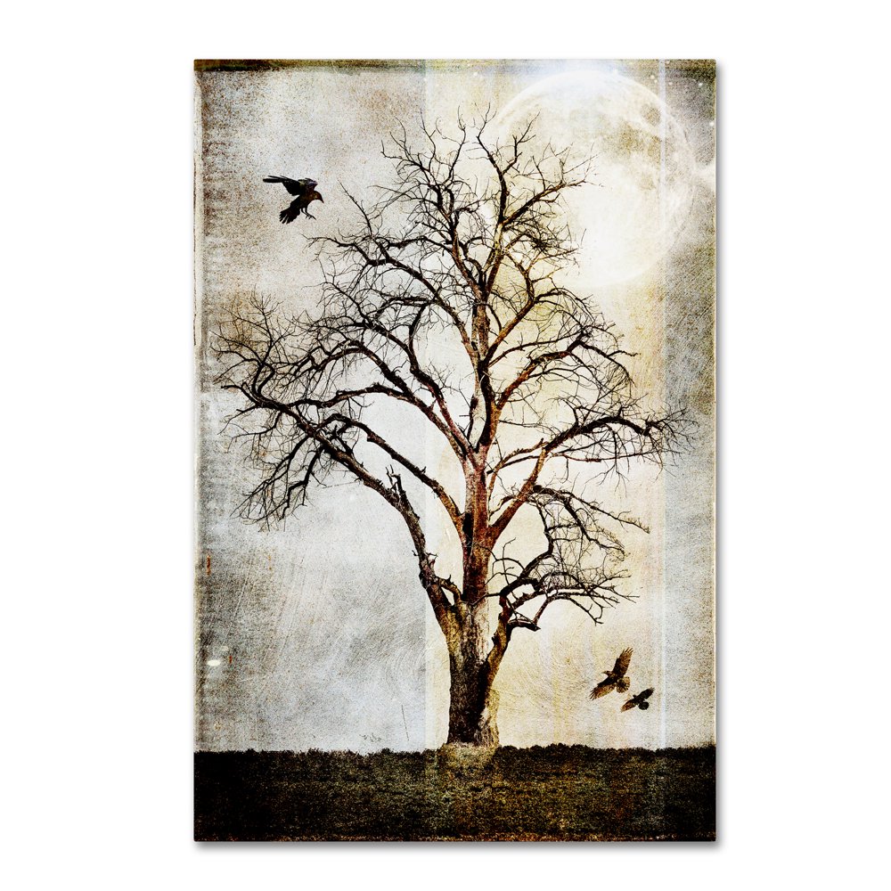 Trademark Fine Art 'Cottonwood Tree Part 02' Canvas Art by