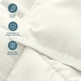 thumbnail image 5 of Bare Home Down Alternative Comforter Set - 2-Pieces - All Seasons - Twin/Twin-XL, Cream, 5 of 8