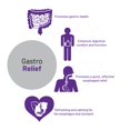 thumbnail image 4 of Suplemento AOR Gastro Relief Gastro Health 60 cápsulas, 4 of 6