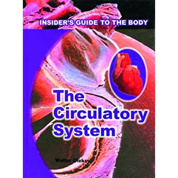Pre-Owned The Circulatory System (Library Binding) 9780823933365