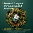 thumbnail image 2 of NatureBell Methylated B Complex Vitamins - 240 Vegetarian Capsules - High Bioavailability 12-in-1 Formula - For Immune Health & Energy Support - Non-GMO & Gluten-Free - 120 Servings, 2 of 8