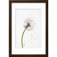 thumbnail image 2 of Closeup Dandelion seeds Framed Print Wall Art Sold by Art.Com, 2 of 5