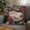 Multicolor #3, variant on Embroidered Cat Pillow Cover | Field Style Kittens & Nature Scenes | Decorative Polyester Square Pillow Case for Bedroom, Living Room, Dorm