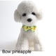 thumbnail image 4 of Nuevo collar con lazo de fruta para mascotas, lazo para gato, campana extraíble, 4 of 5