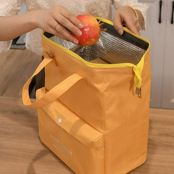 BCZHQQ Insulated Lunch Bag Simple Bento Cooler Bag Lunch Tote Bag for Lunch Box for Women Men Adult Picnic Working Hiking Beach