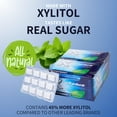 thumbnail image 6 of XyloBurst Gum | Xylitol Chewing Gum | Sugar Free, Gluten Free, Keto Friendly | Aspartame Free Gum For Oral Health | Peppermint | 12 Pieces, Pack of 12, 6 of 7