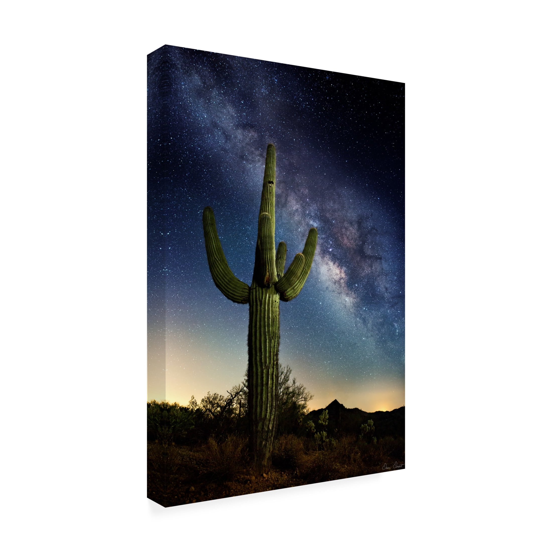 Trademark Fine Art David Drost  Desert Lights I Canvas Wall Art