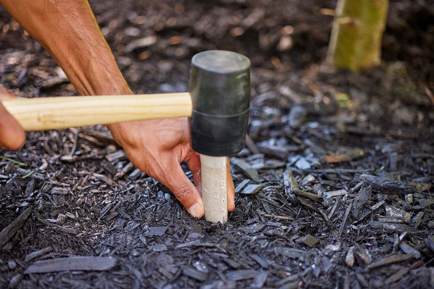 Miracle-Gro® Evergreen Plant Food Spikes 12-6-12