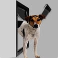 thumbnail image 4 of Puerta con solapa para perros y para primera , fácil instalación de bricolaje, puerta para suministros para mascotas, perros y XL negro Colco puerta grande para gatos, 4 of 7