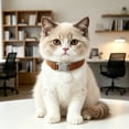 thumbnail image 3 of DGMIOCS Elastic Cat Collar of Safety Quick Release Cat Collars with Bell Anti-Suffocation Kitten Puppy Collars, 3 of 7