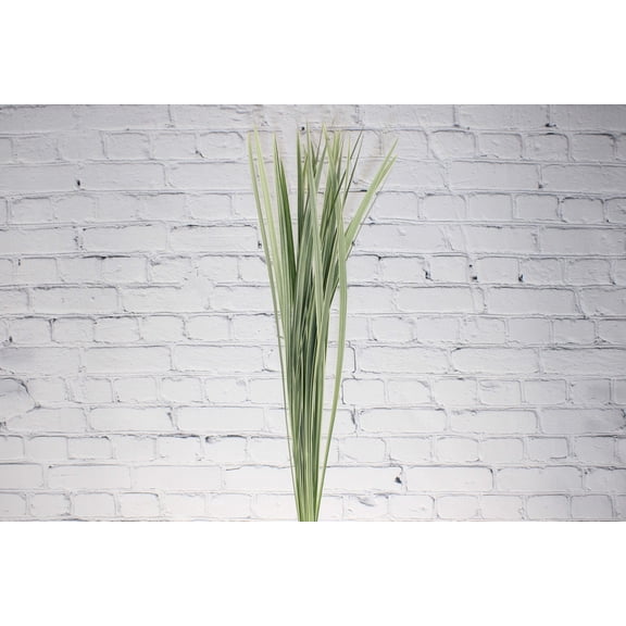 Real Touch Flowers - Fresh & Natural Lily Grass Variegated - 1 Bunch (25 Stems)