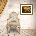 thumbnail image 3 of Clayton-Thompson, Philip 14x12 Gold Ornate Wood Framed with Double Matting Museum Art Print Titled - Starfish I, 3 of 4