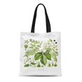 thumbnail image 1 of NUDECOR Sac Fourre-Tout en Toile Vintage Humulus Lupulus Hop Peinture Botanique Fleur Florale Botanique Sac Réutilisable Épaule Courses, 1 of 1