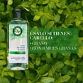 thumbnail image 3 of Shampoo Herbal Essences Detox Té Verde & Menta 400 ml, 3 of 5