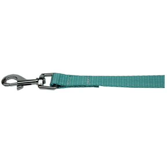 Nylon Dog Lead Leash Bright and Plain Basic Colors -Choose 6 Sizes And 16 Colors (Ocean Blue,xSmall - 3/8in by 4ft)