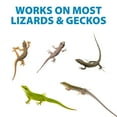 thumbnail image 2 of LizzAway Lizard Shoo Spray - Plant-Based Lizard Repellent for Outdoors & Home - Gecko, Skink, & Reptile Deterrent - Gecko Repellent Spray to Keep Lizards Off Porch, Patio, Garden & Driveway, 2 of 7