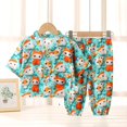 thumbnail image 1 of Conjunto de pijamas de seda para niños, traje de aire acondicionado de algodón Artificial de verano, ropa de hogar de seda de algodón para niños, conjunto de dos piezas para niños Cl, 1 of 5