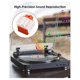 thumbnail image 5 of Record Player Needle for ATN3600 ATN91, Diamond Turntable Stylus Replacement for AT-PL50 AT-LP60 AT, 5 of 5