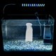 thumbnail image 3 of EeaseMX Bolsa de filtro de algodón reemplazable para acuario (4 unidades), 3 of 7