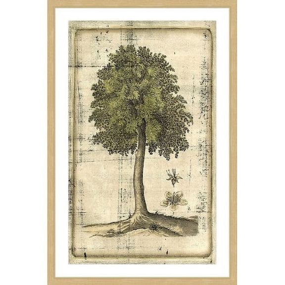 Marmont Hill "Fruitful Realm II" Framed Painting Print