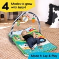 thumbnail image 5 of Baby Einstein Farm Explorers Busy Barnyard Grow with Me Activity Gym, Ages 0-48 Months, 5 of 14
