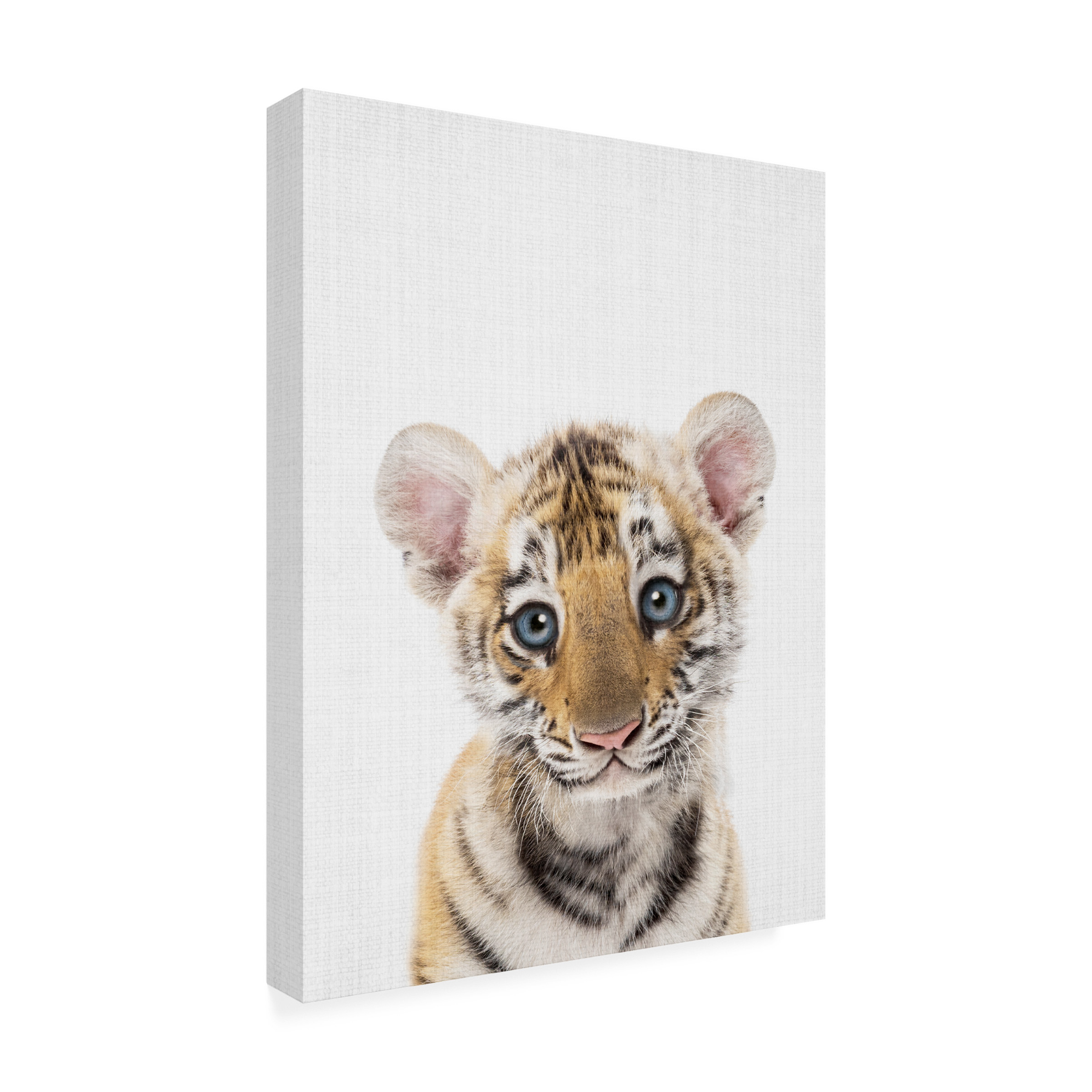 Lola Peacock 'Peekaboo Baby Tiger' Canvas Art