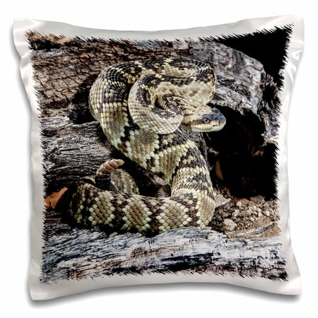 3dRose, Arizona, Madera Canyon. Black tailed rattlesnake coiled., 16x16 inch Pillow Case