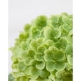 thumbnail image 3 of Flores artificiales DuHouse Hydrangea Real Touch de 55 cm, 3 unidades, 3 of 6