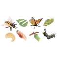 thumbnail image 3 of Juguetes de aprendizaje Strade Fareast Limited ciclo de vida de los animales Estilo A, 3 of 5